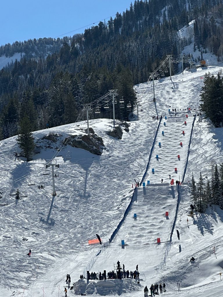Intermountain Moguls + Dual Moguls