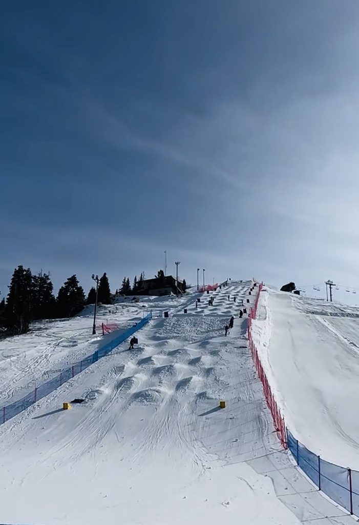 Intermountain Moguls + Dual Moguls